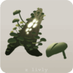 水草アクアリウムの木